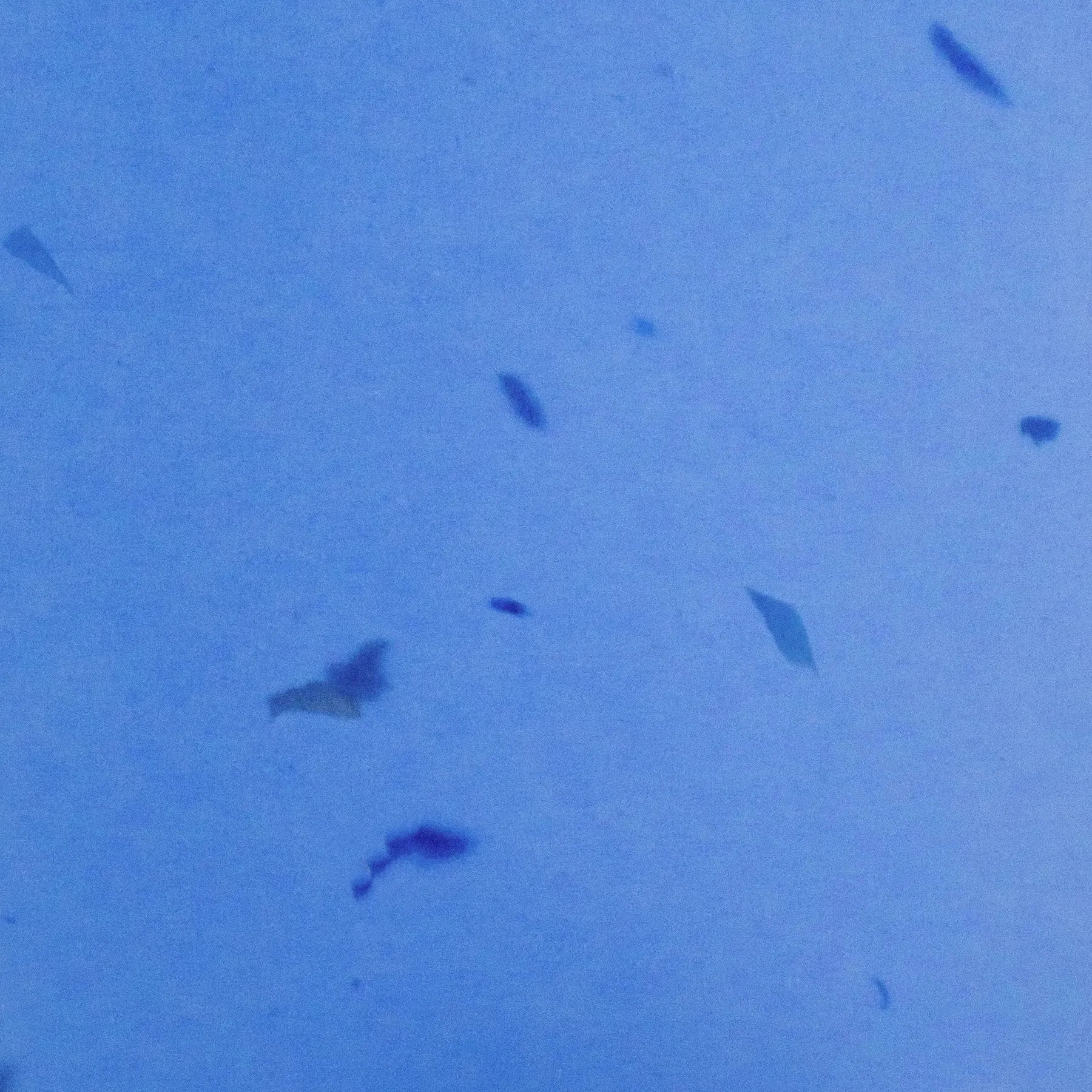 Deep Blue rPETG recycled plastic panel