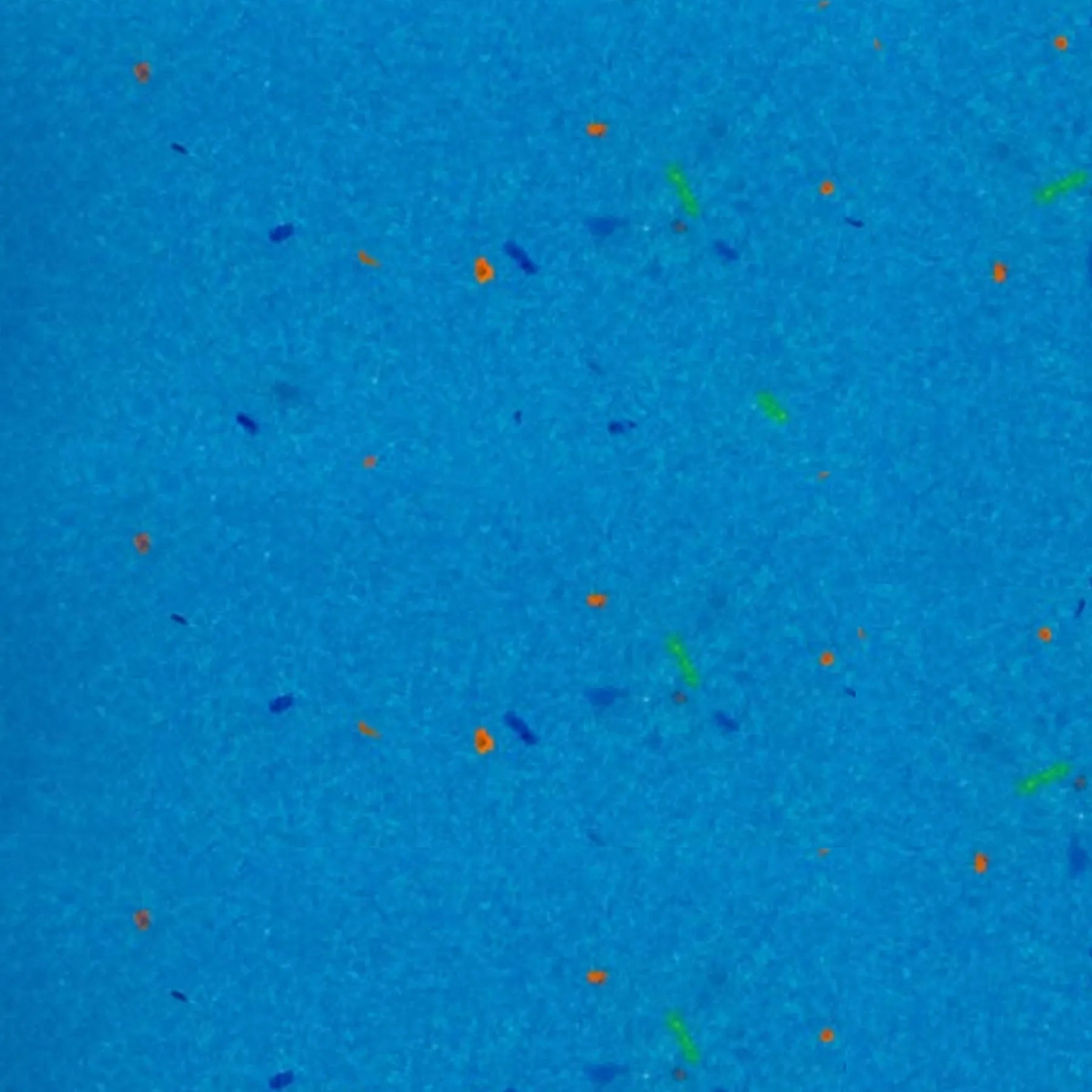 Dive Blue rPETG recycled plastic panel